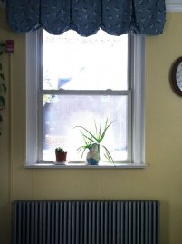 folia na okno